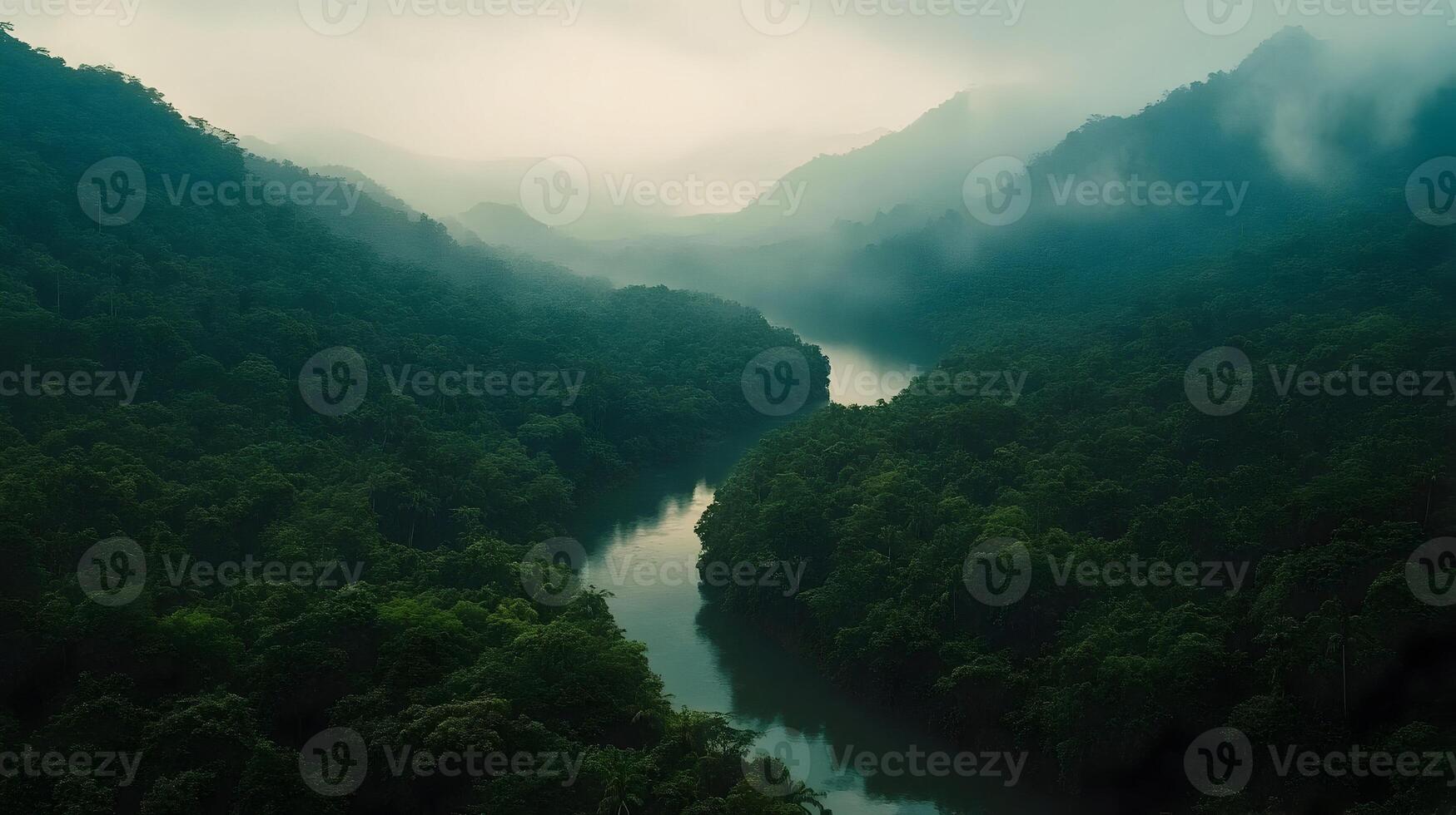 Lush Amazonian river bend surrounded by evergreen rainforest under a hazy overcast sky photo