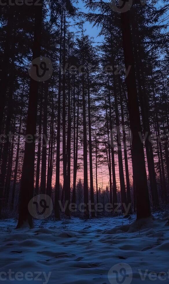 Enchanting Winter's Embrace Silhouette of Forest Trees at Dusk, an Ethereal Scenery photo