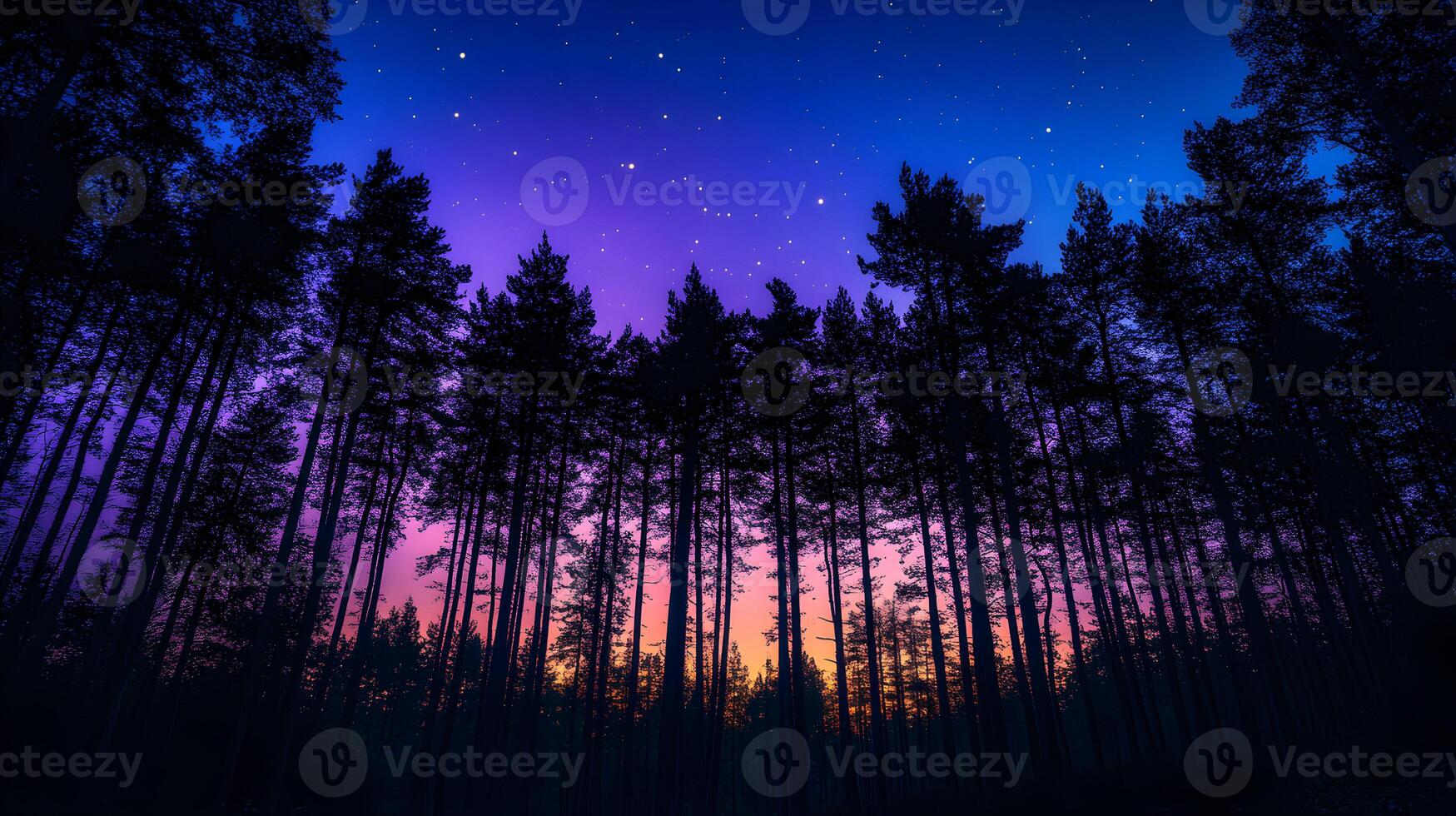 Enigmatic Forest Silhouette Against the Colorful Twilight Sky and Sparkling Stars Above photo