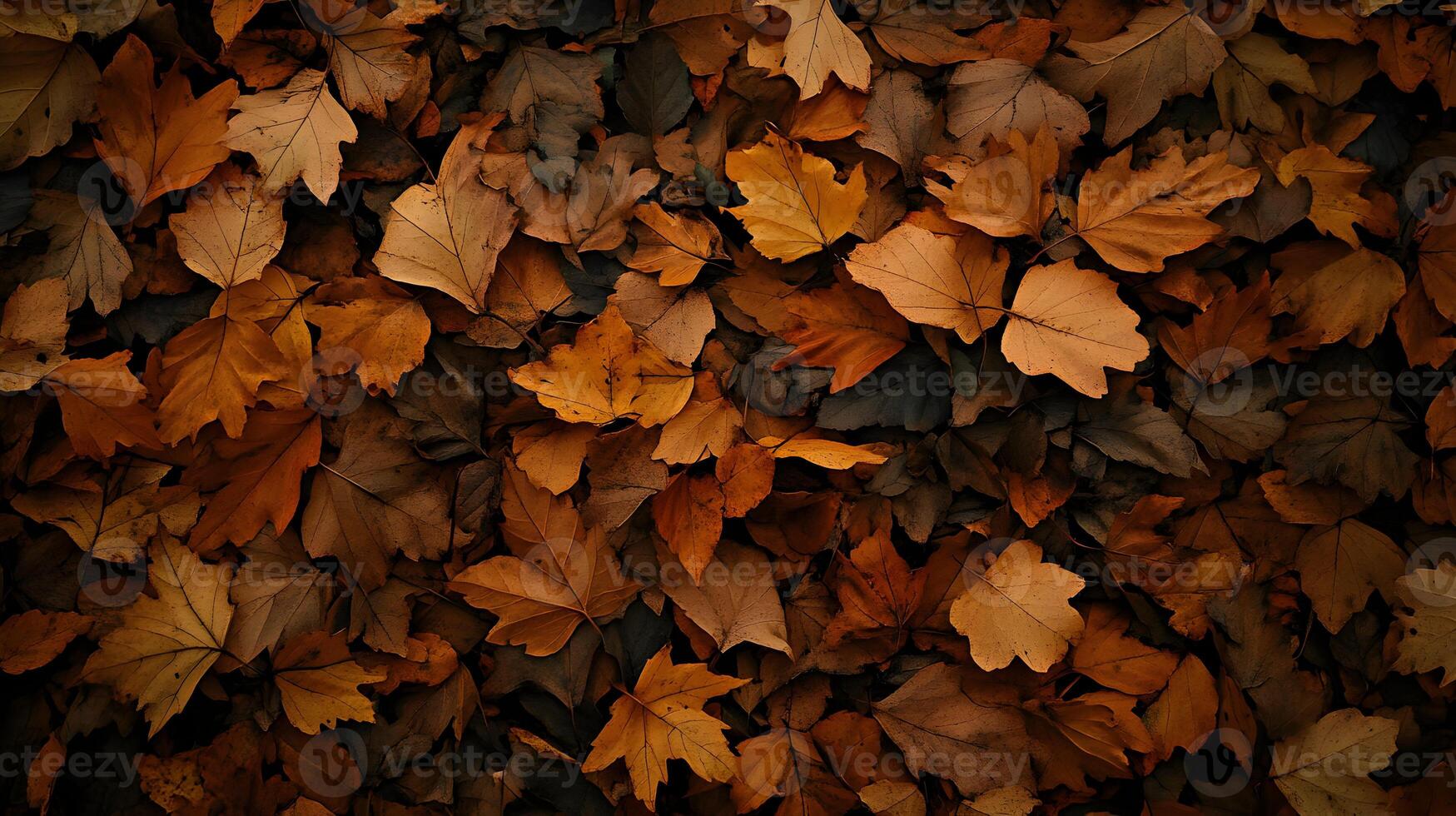 Autumn's golden blanket Fallen leaves create a mosaic of warmth in this serene fall foliage photo