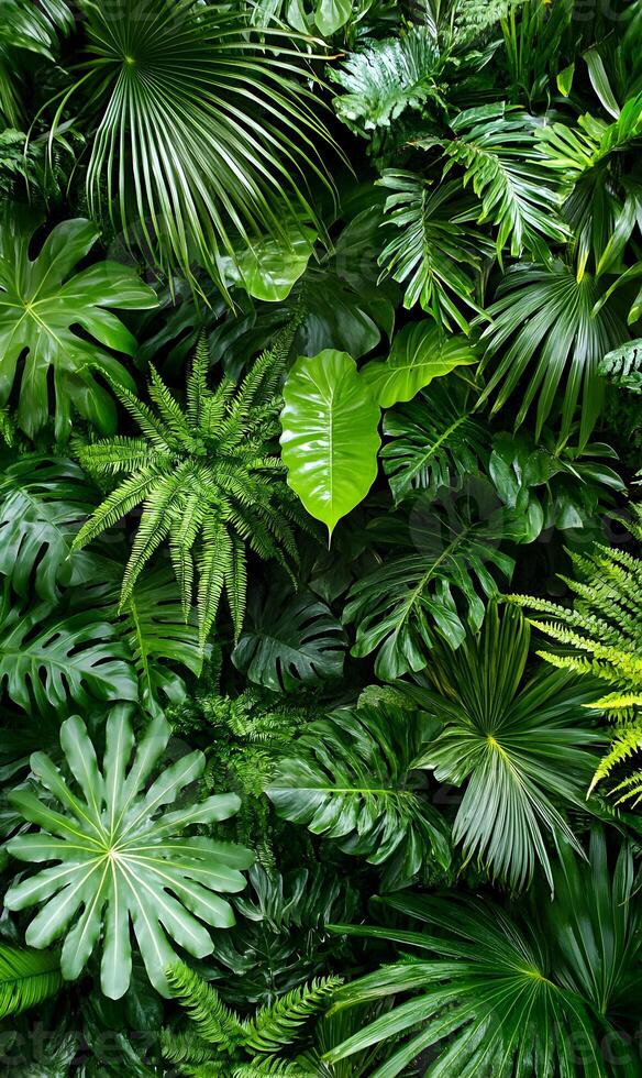 Verdant Symphony A tropical display of botanical richness and luxurious greenery photo