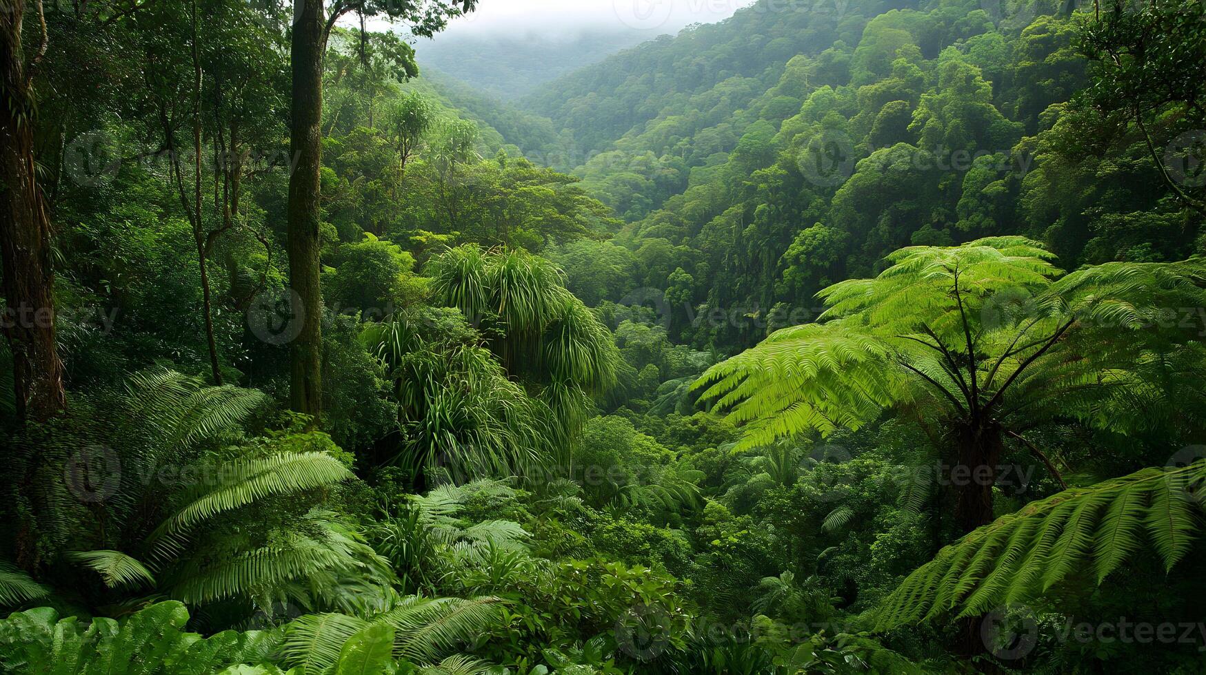 Lush tropical rainforest canopy with dense vegetation and rolling hills covered in trees photo