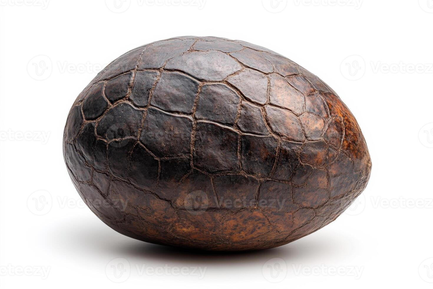 Unique textured brown object resembling an egg on white surface photo