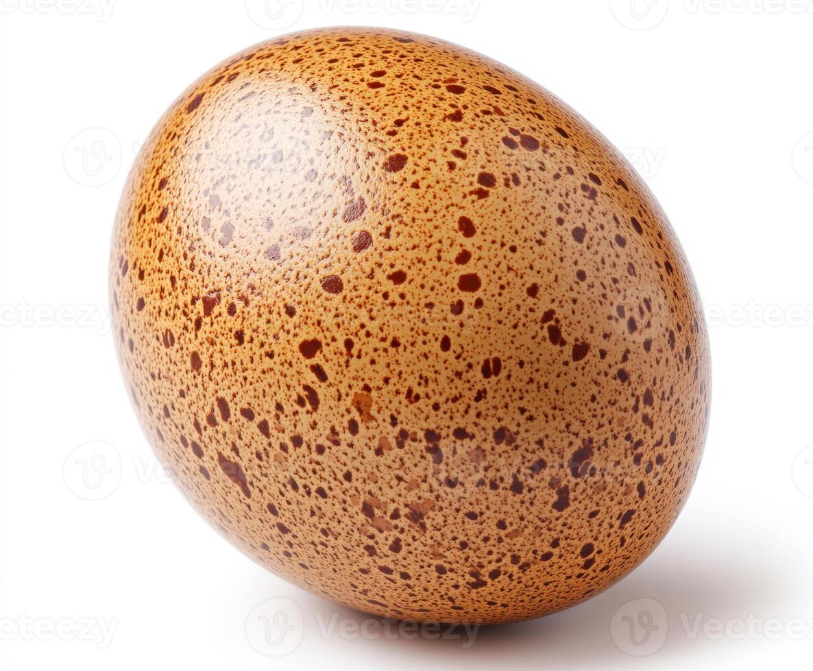 Unique speckled egg displayed on a neutral background photo
