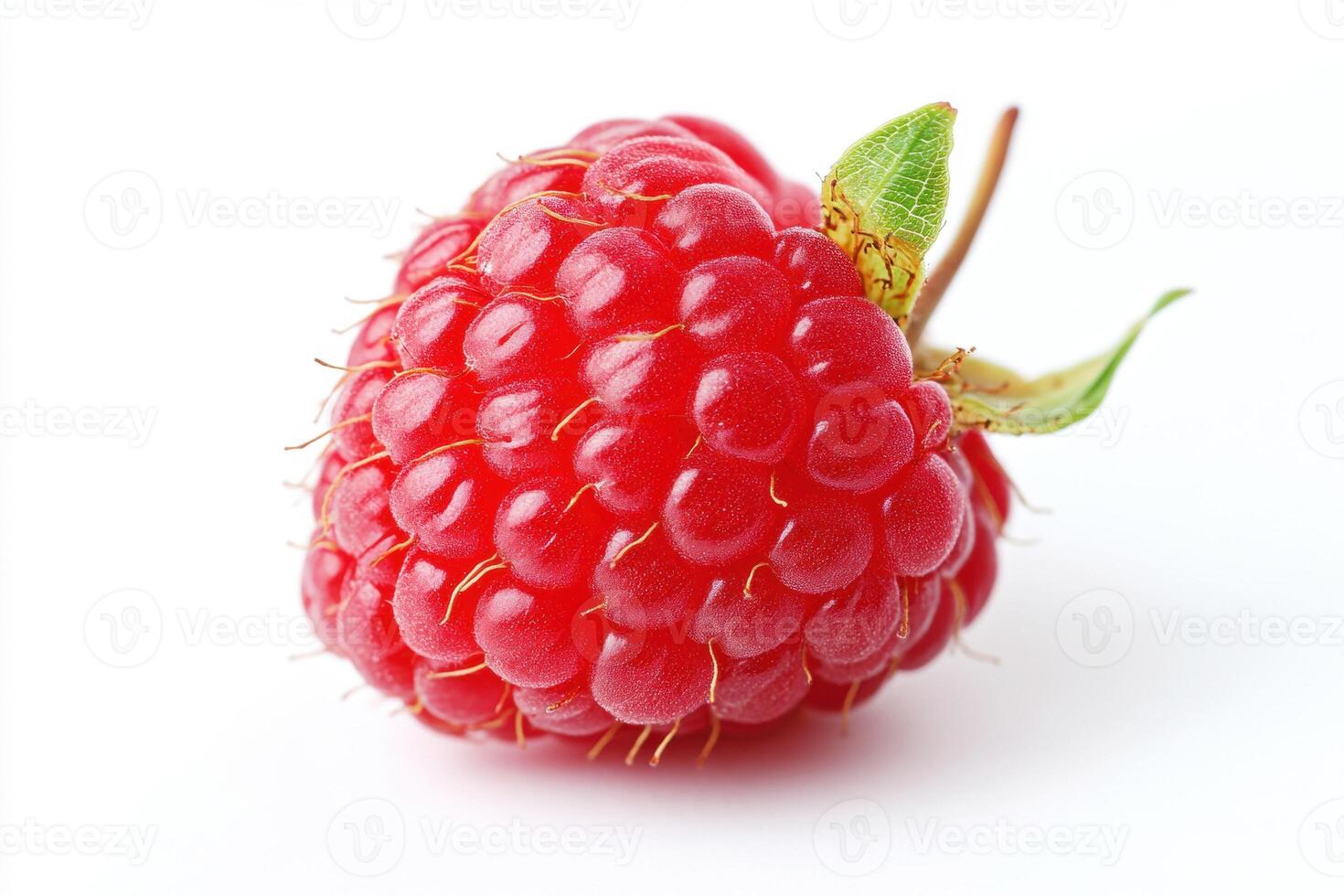 Fresh raspberry on a white background highlighting its texture photo