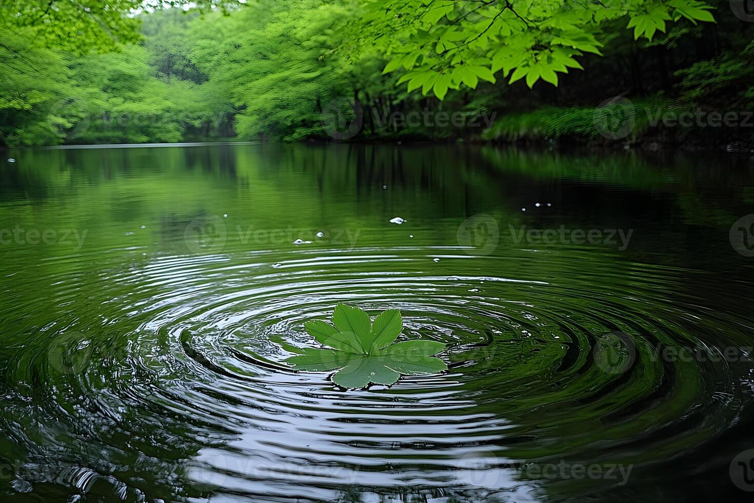Serenity in Nature Green Leaf on Rippling Forest Pond - Tranquil Design for Print photo