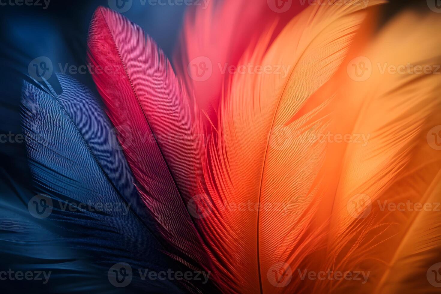 Vibrant Multicolored Feathers Abstract Art for Print and Design photo
