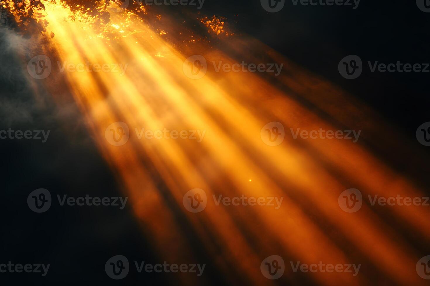 Golden Sunlight Streaming Through Trees - Atmospheric Nature Background for Design photo