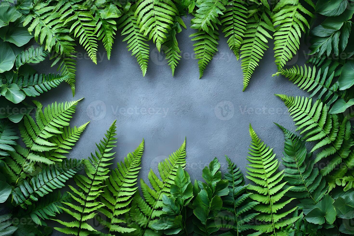 Nature-Inspired Frame Design with Lush Green Fern Leaves for Eco-Friendly Decor photo