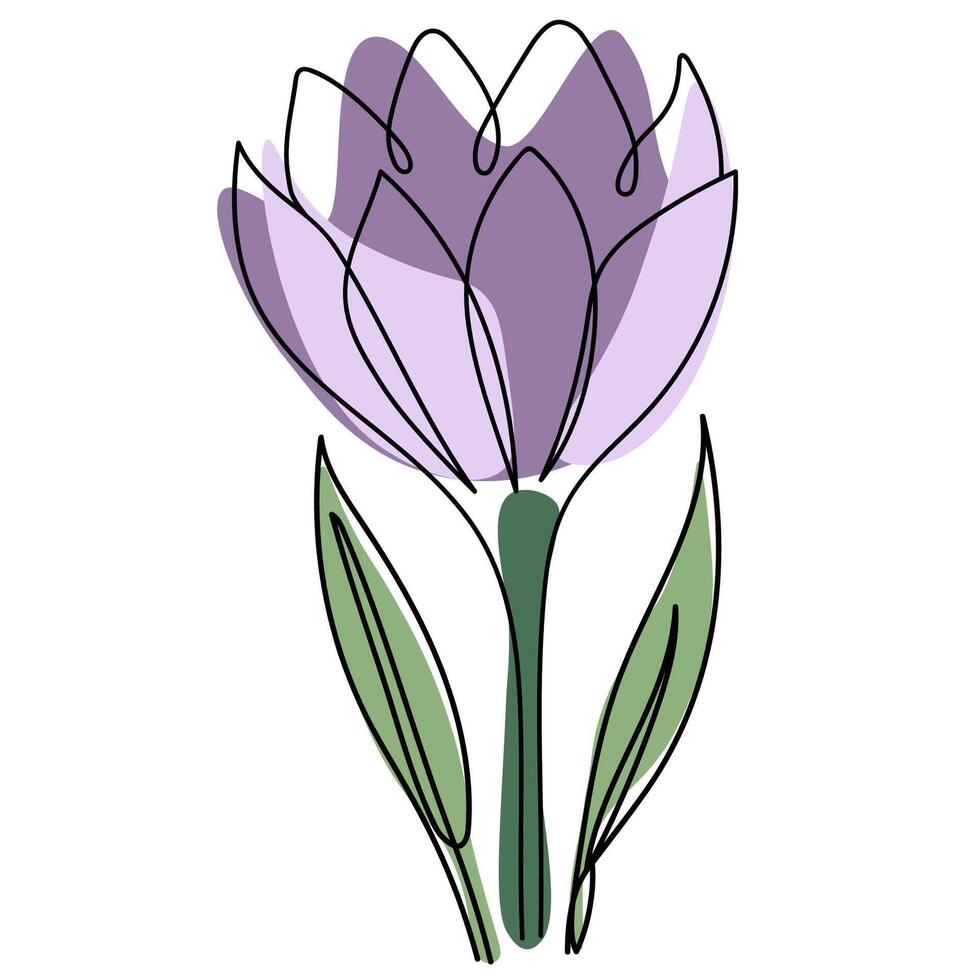 Crocus outline flowers in delicate purple tones. Simple and elegant illustration vector