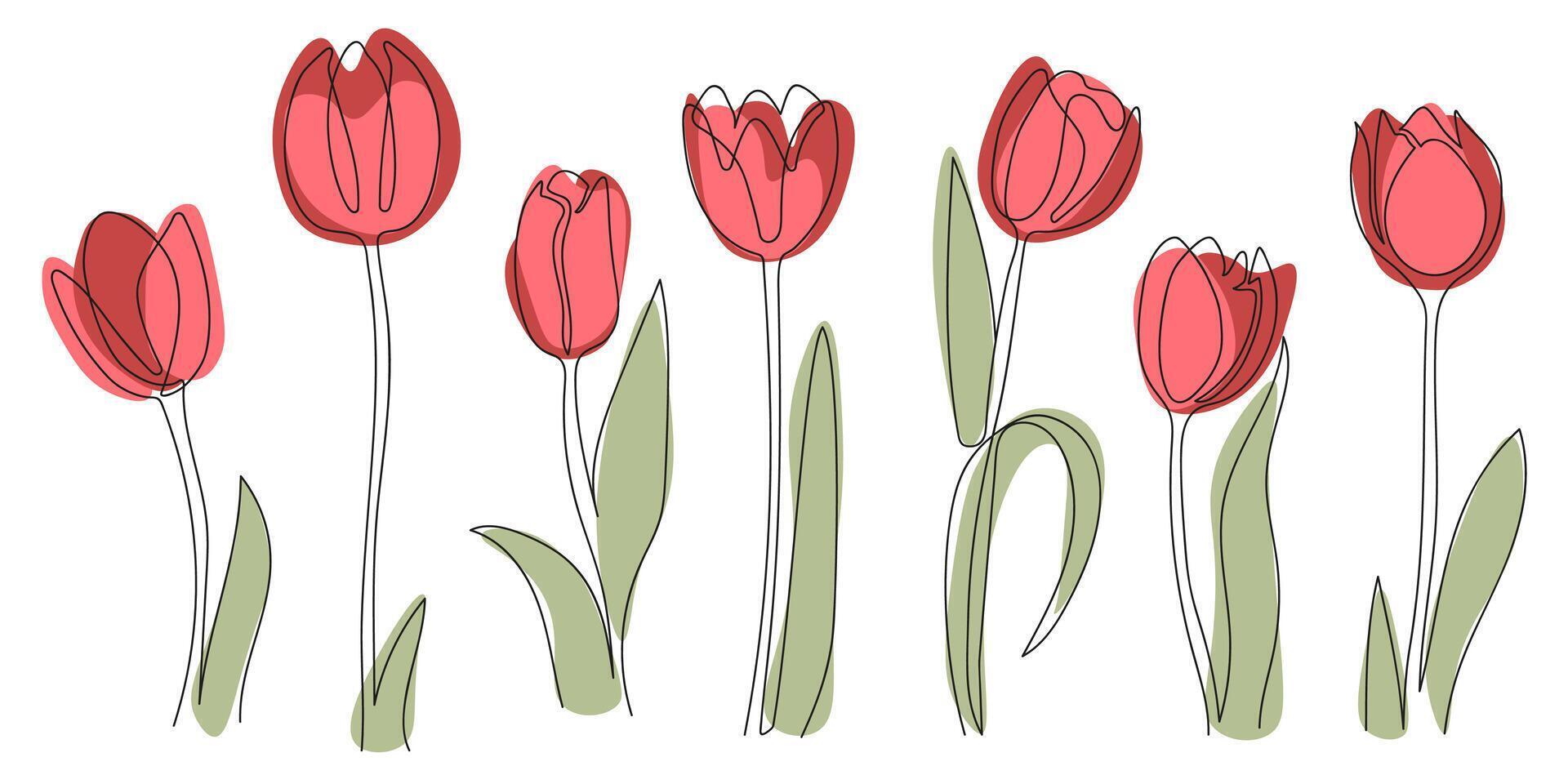 Set of red tulip flowers drawn by one black line. Hand drawing illustration vector