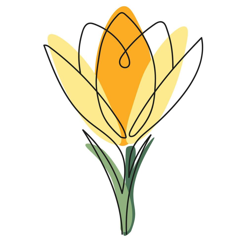Elegant crocus flowers in black and white outline with yellow petals. Botanical design vector