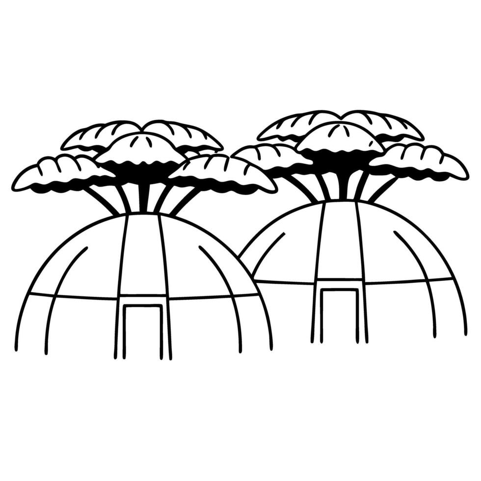 Stylized baobab trees illustration with geometric domes and leaves vector