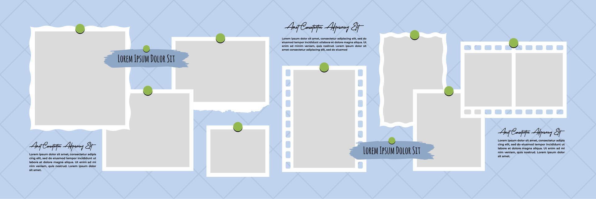 Blank photo frames set text space vector
