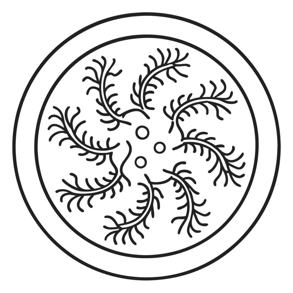 abstract spiral seaweed pattern, circular design, intricate mandala like illustration in black and white vector