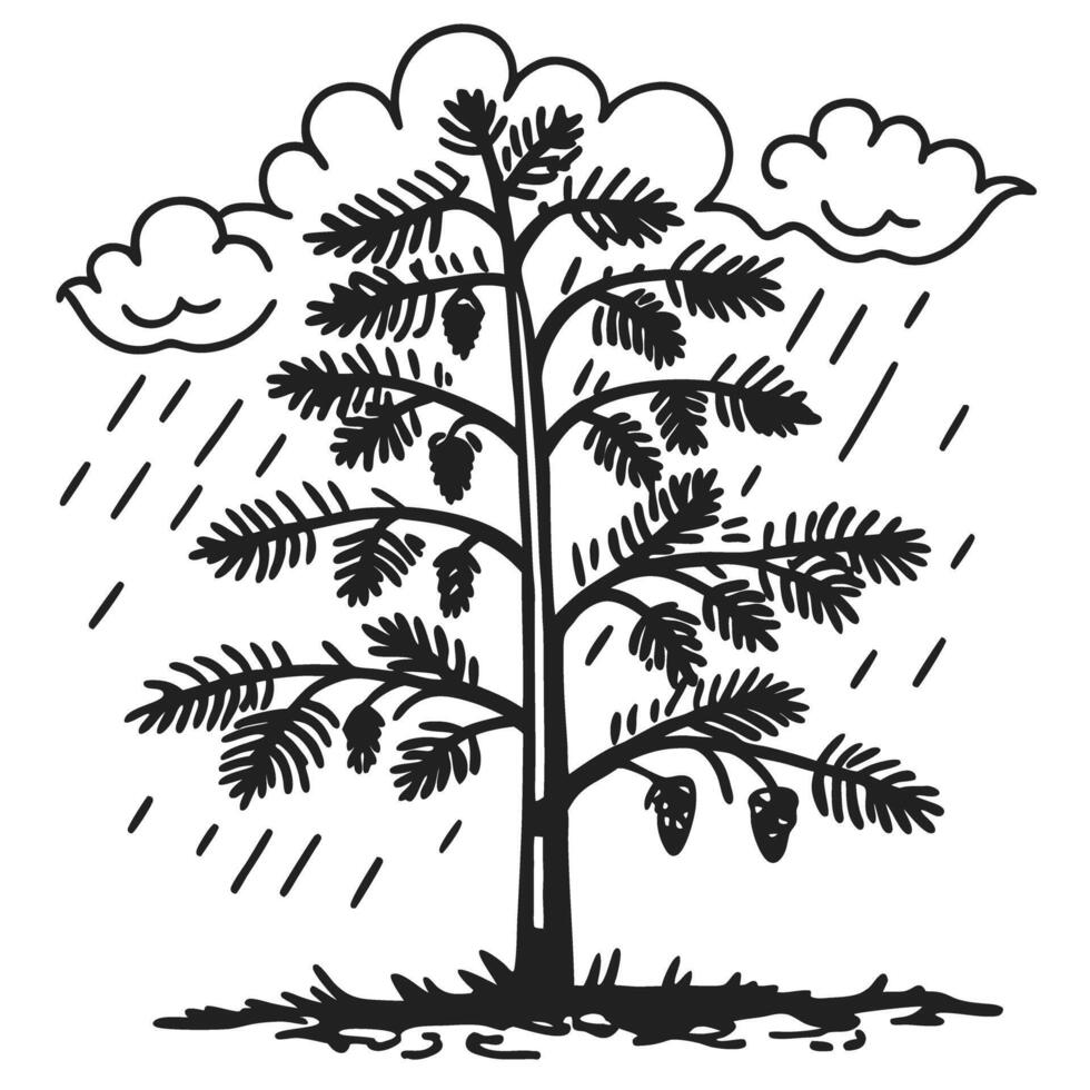 Pine tree in rain stylized illustration with clouds, raindrops, and detailed pine cones in black and white vector