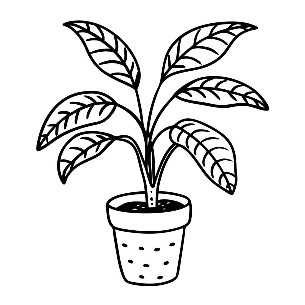Monochrome Potted Plant Sketch Simple Botanical Line Art Illustration vector