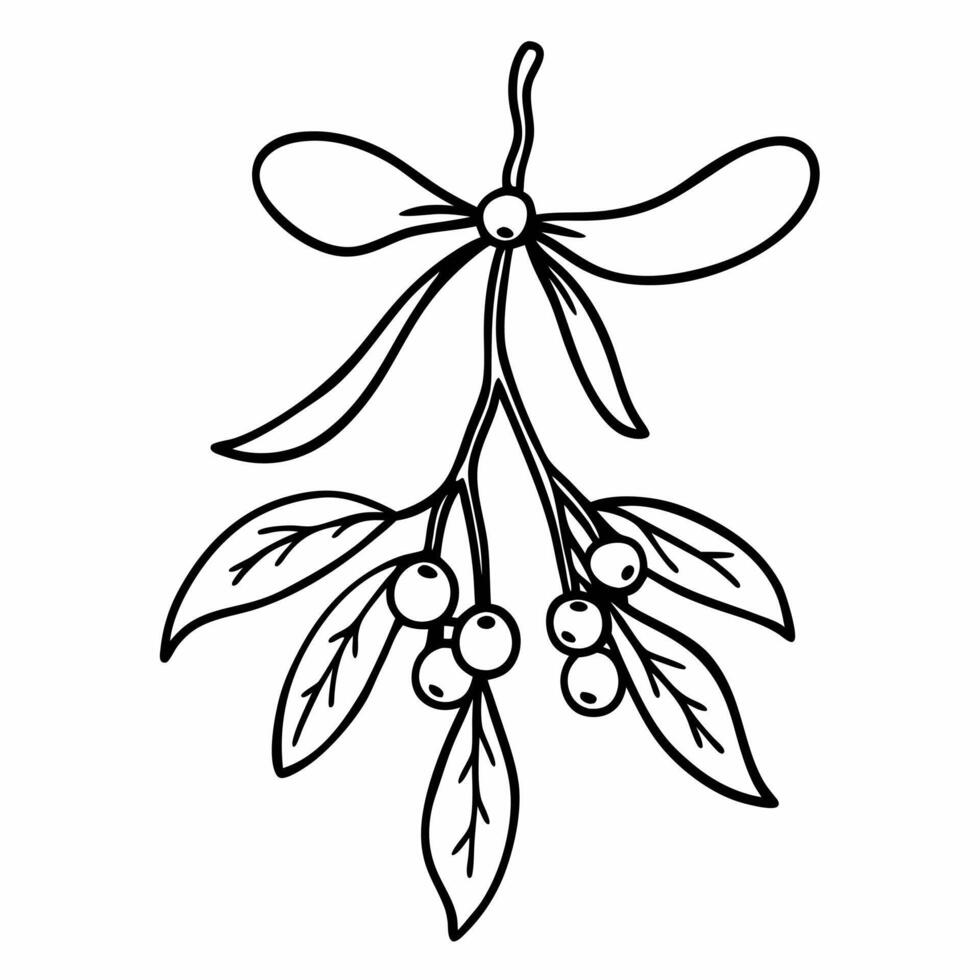 Hand Drawn Mistletoe Branch with Berries and Bow Festive Holiday Illustration vector