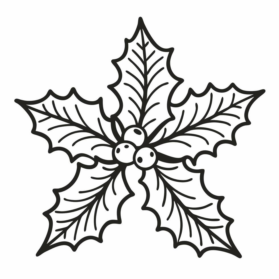 Outline Drawing of Holly Leaves and Berries Festive Christmas Illustration vector