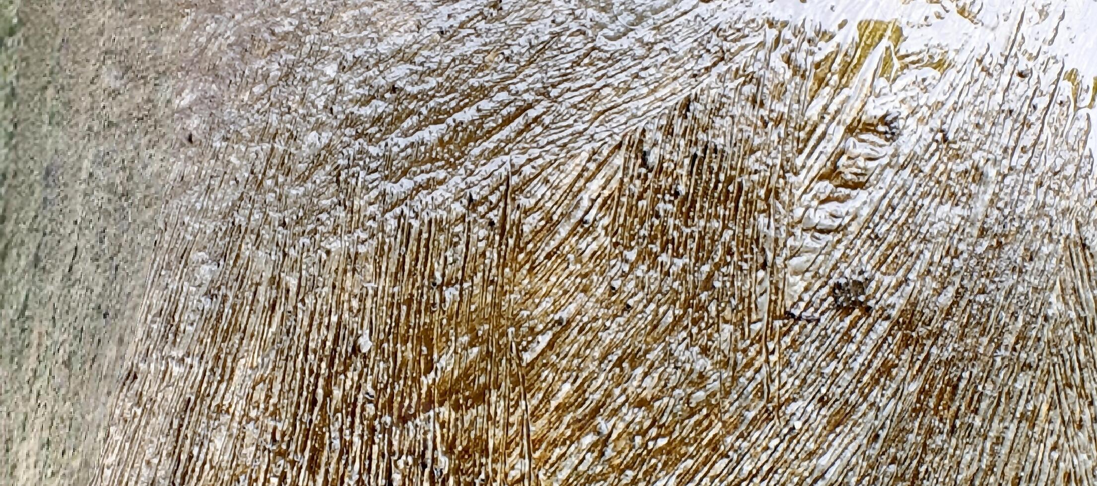 A close up of a wooden surface with ice on it photo