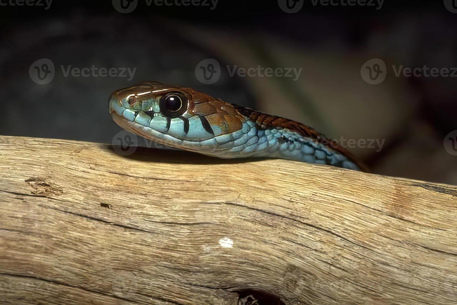 A close up of a snake on a log photo