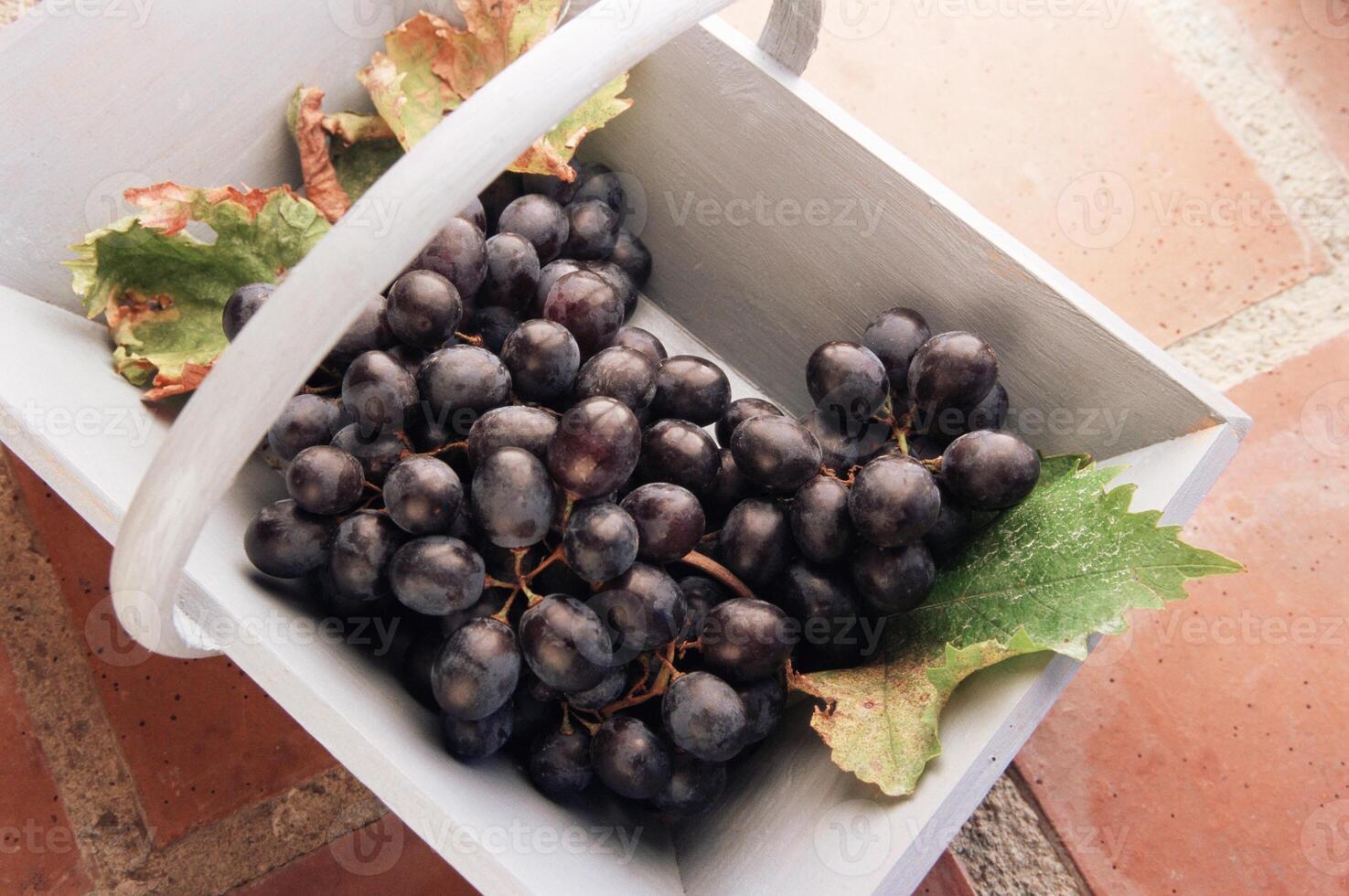 A white basket with a bunch of grapes in it photo