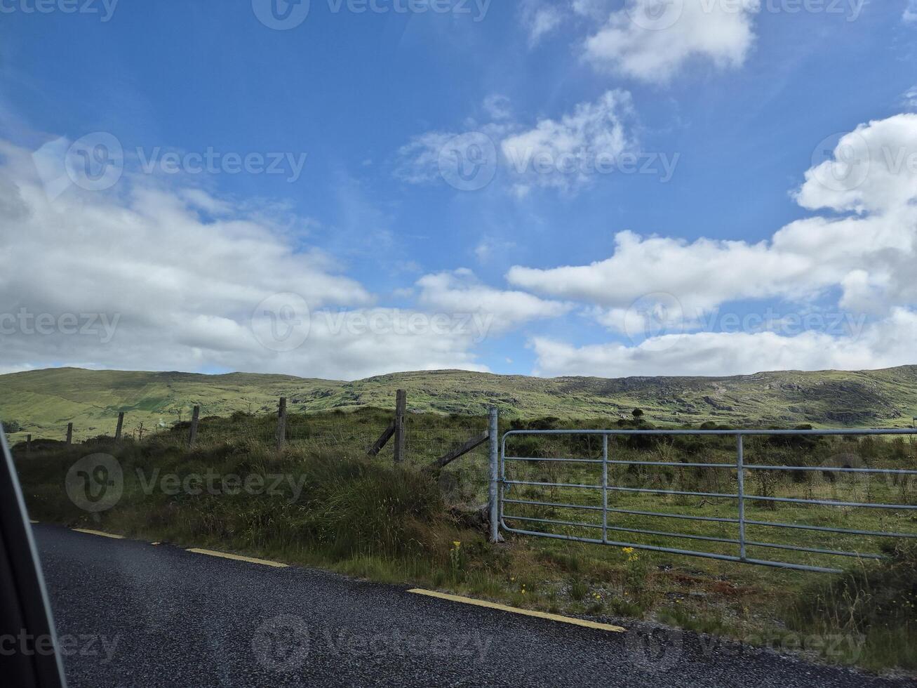 A view of a field from inside a car photo