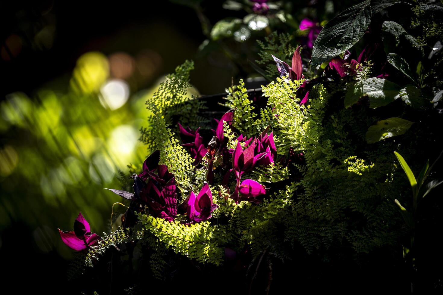 A bunch of flowers photo