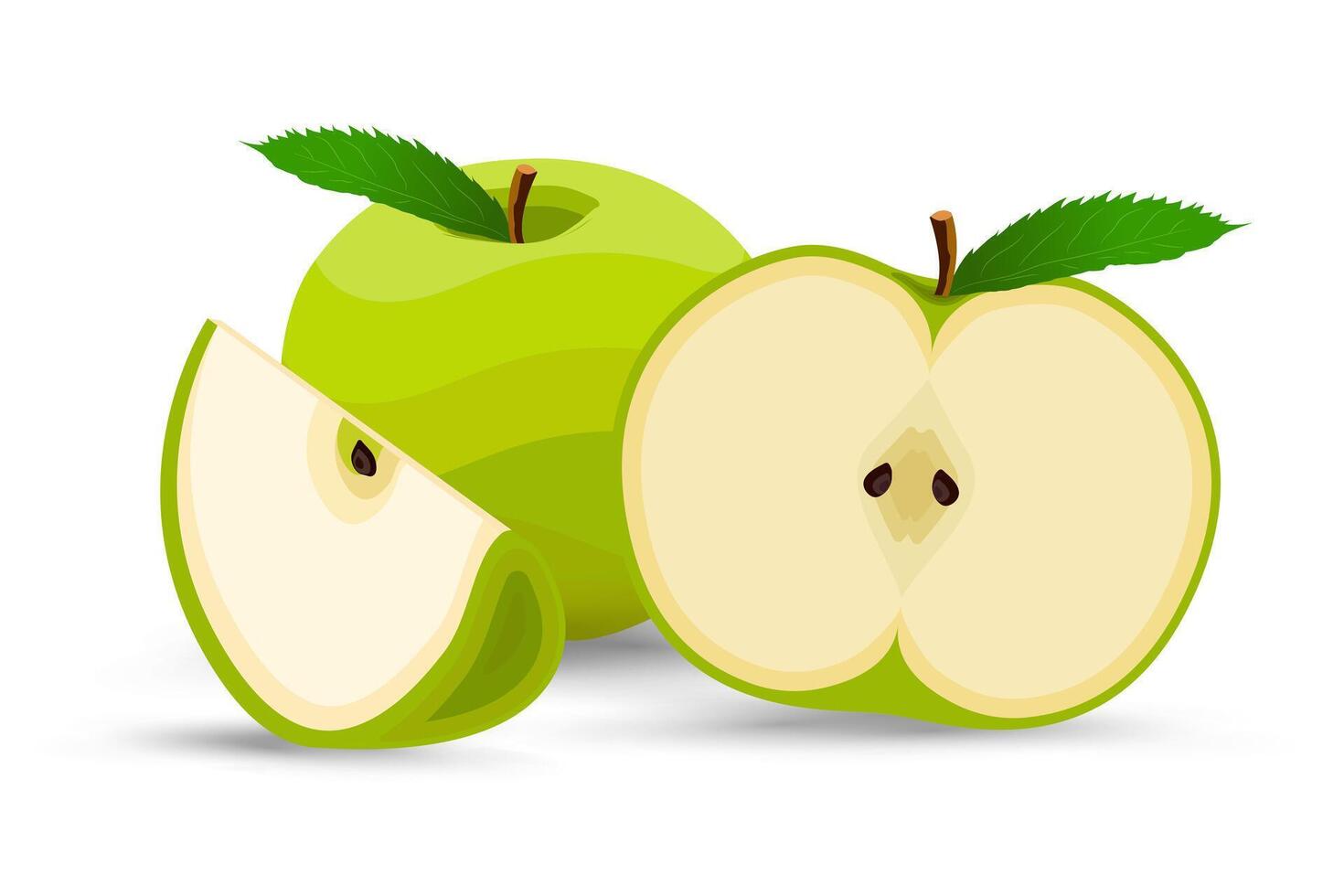 A half slice fresh green apple and vibrant green apple, fresh and crisp, An apples with a perfectly sliced half, revealing its pale, creamy interior, , illustration vector