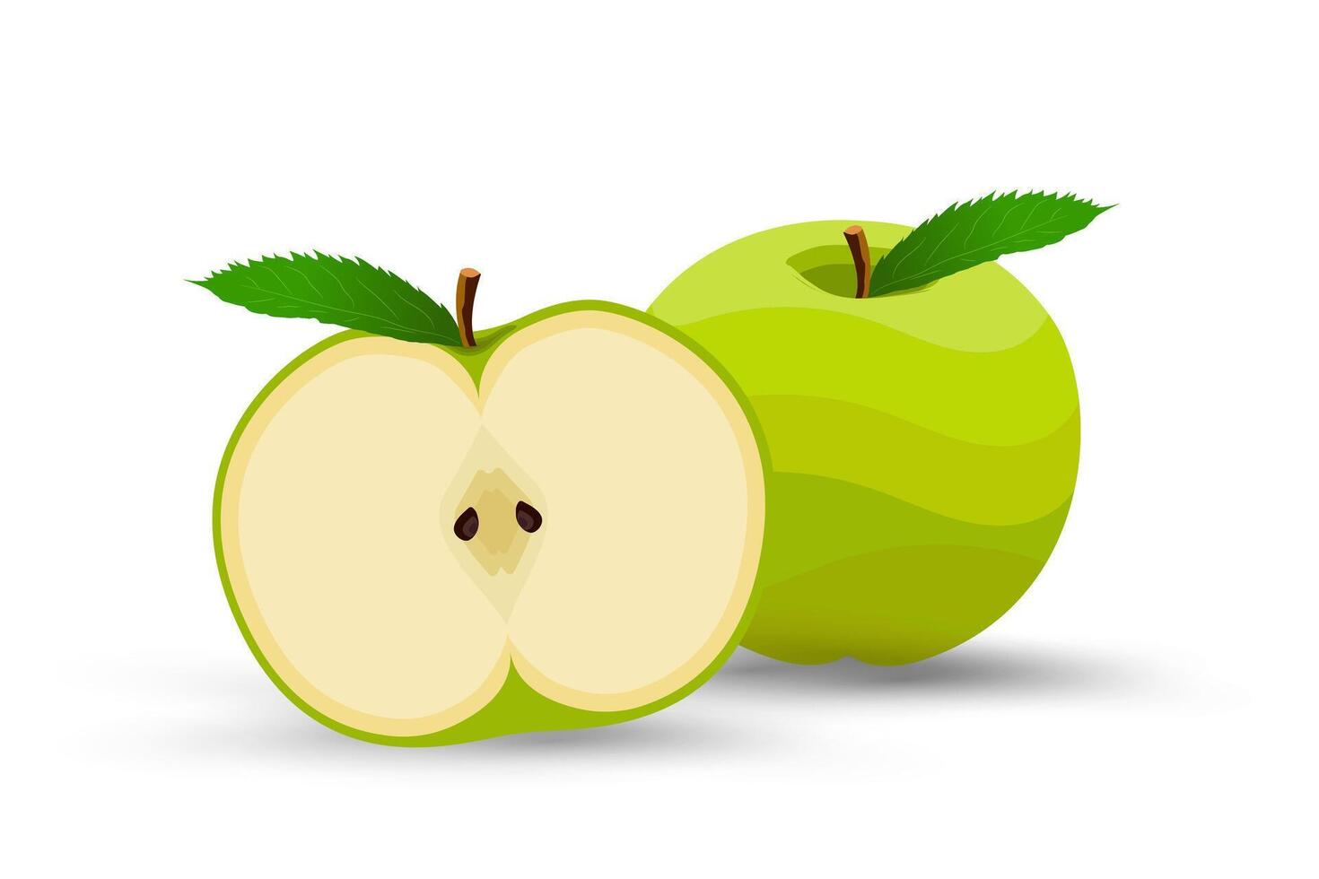 A half slice fresh green apple and vibrant green apple, fresh and crisp, sits alongside a perfectly sliced half, revealing its pale, creamy interior, , illustration vector
