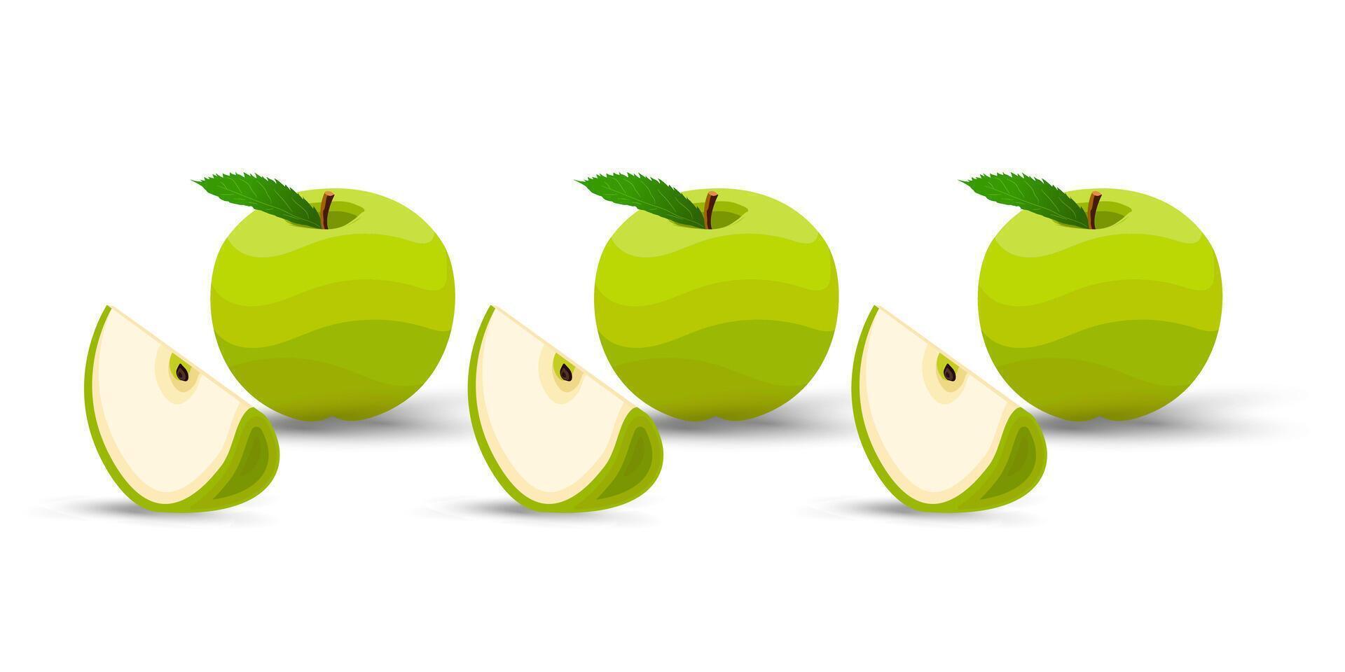 Three fresh green apples with smooth, wavy textures sit in a row, each accompanied by a neatly sliced quarter. Their vibrant green leaves and brown stems add a touch of natural freshness vector