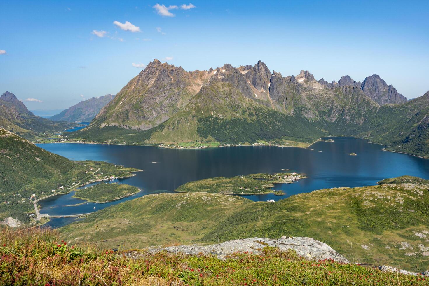Lake with island and towns surrounded by mountains in background and red berries in foreground, Lofoten Norway photo