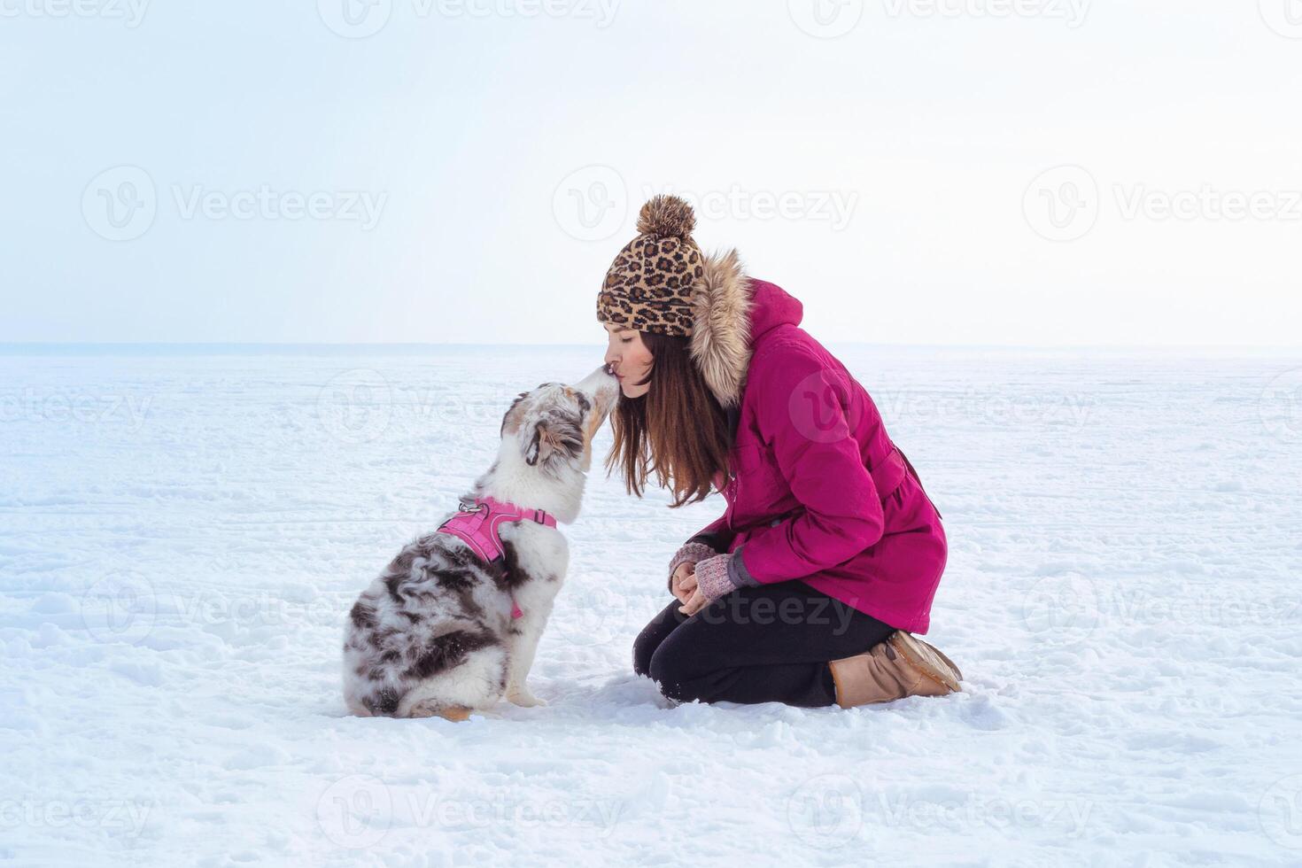 Woman kiss a little Cute Aussie Australian Shepherd puppy in blue marble color. Snow landscape photo