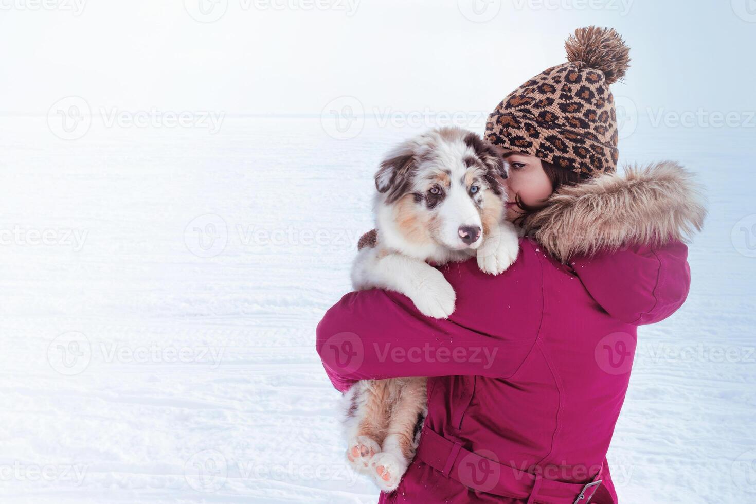 Woman holds a little cute Aussie Australian Shepherd puppy in blue marble color and different eye color. Copy space photo back view, snow landscape