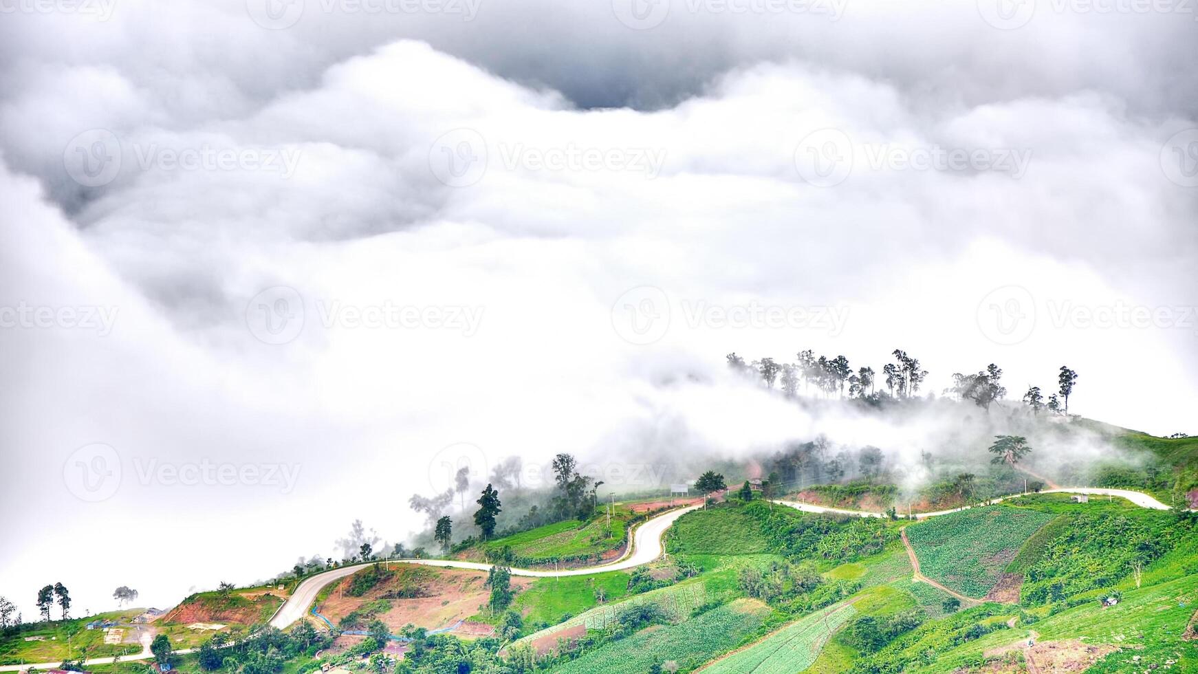Cloud-covered hill with winding road and trees at dawn photo