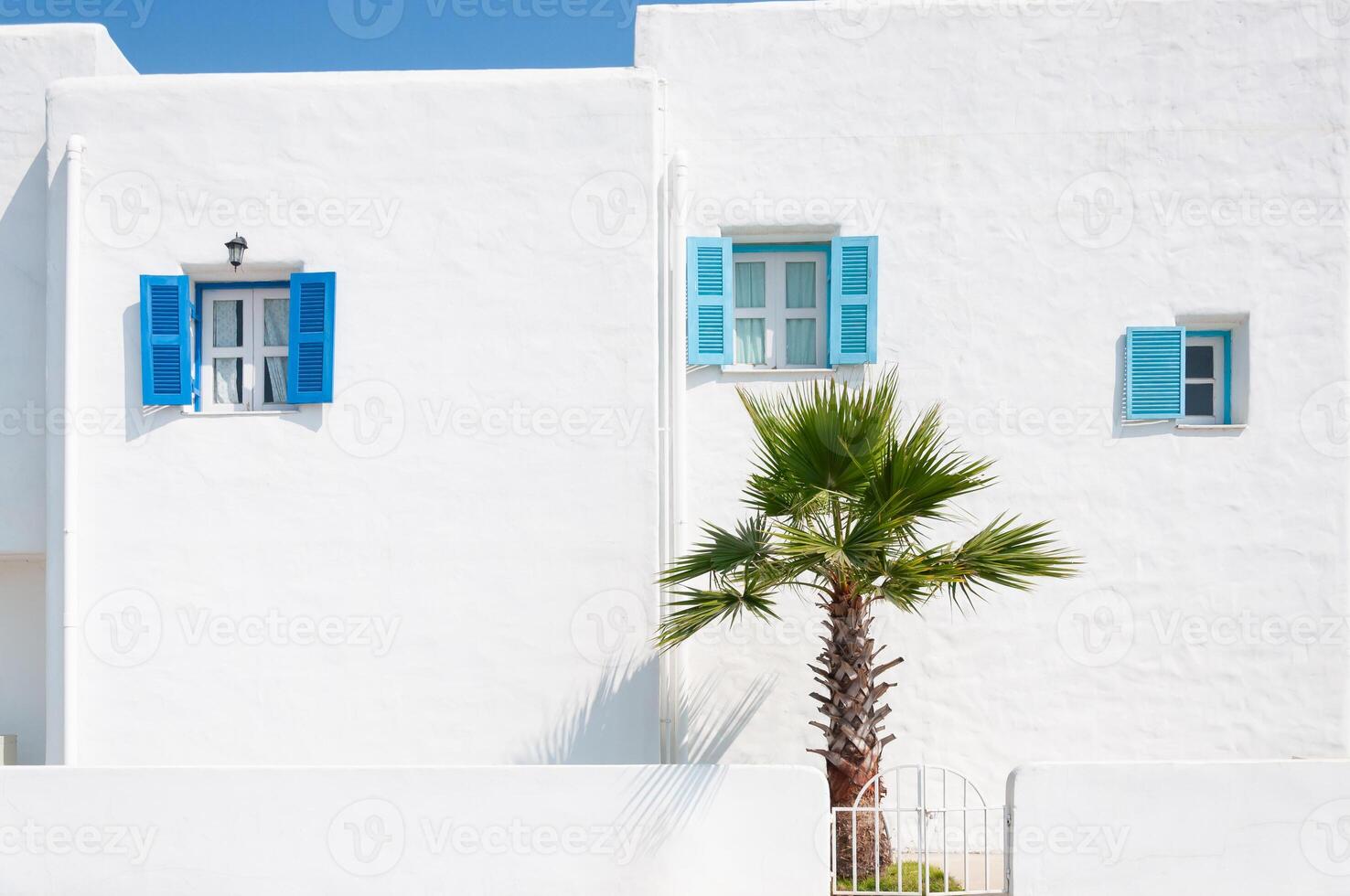 Bright white wall with blue windows and a palm tree in a coastal setting under clear sky photo