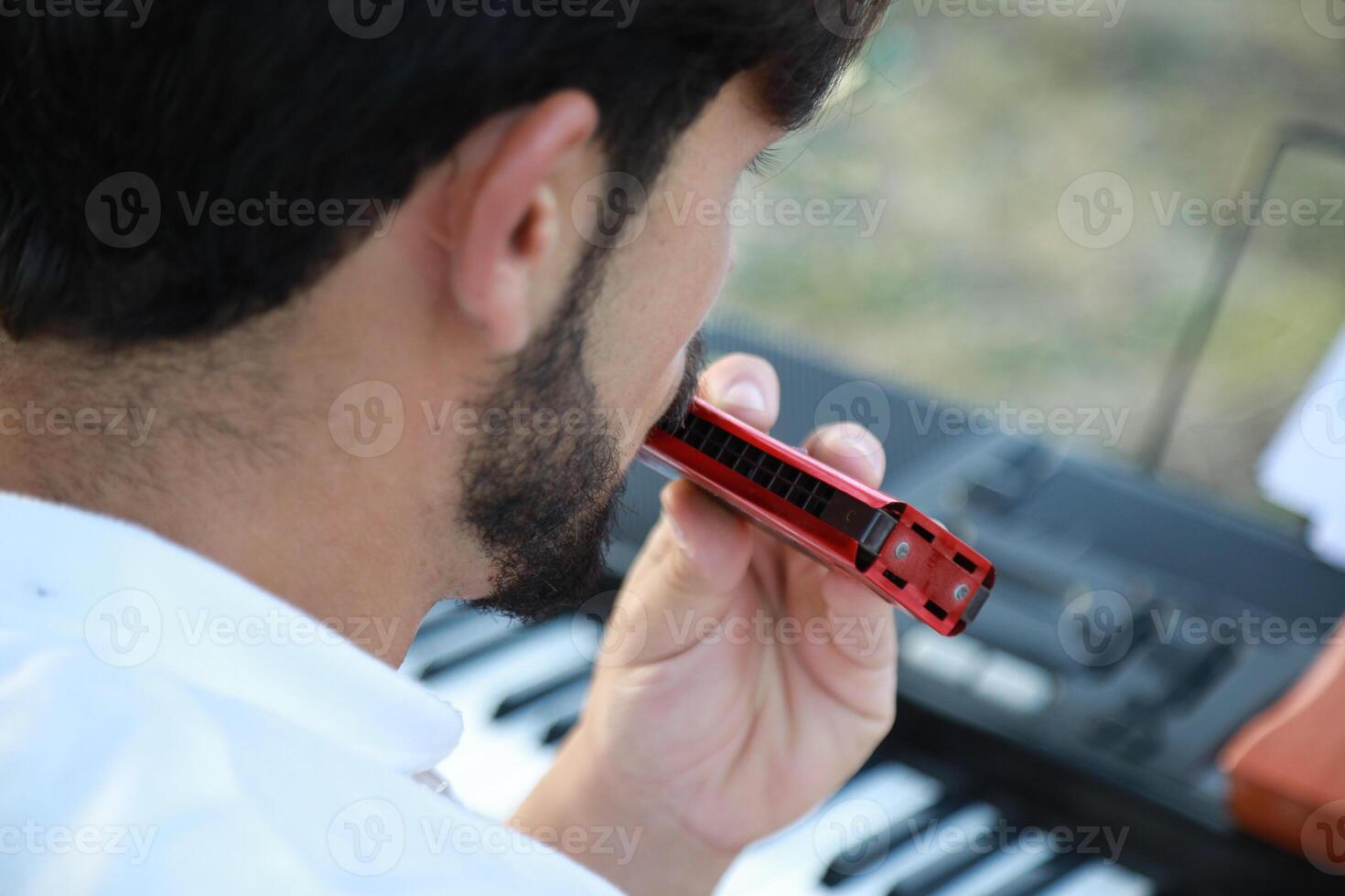 Boy Plays Music With Harmonica And Keyboard Among The Olive Trees Of Calabria photo