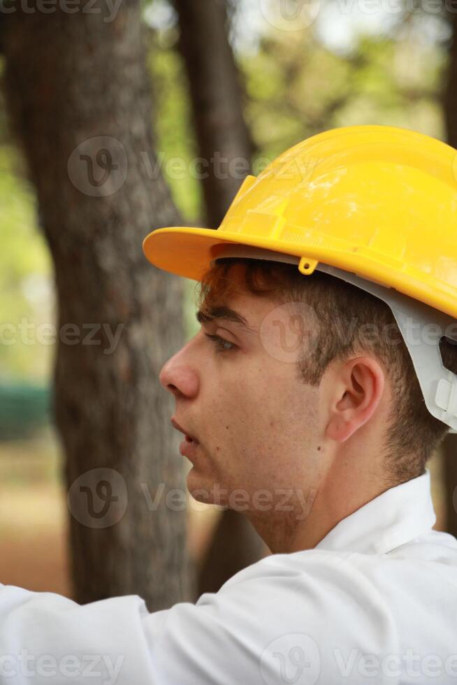 Engineer Gives Orders To Workers In A Forest With Trees photo