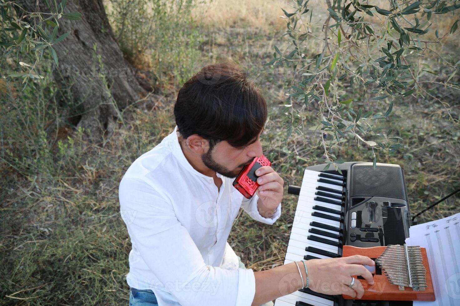 Boy Plays Music With Harmonica And Keyboard Among The Olive Trees Of Calabria photo