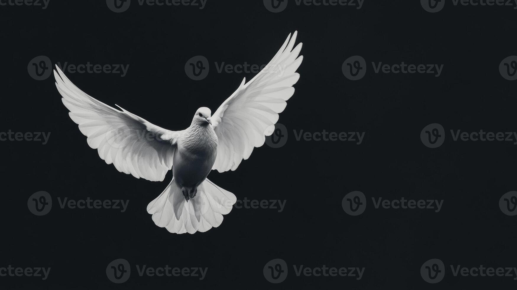 Graceful white dove in flight against a dark background, symbolizing peace and freedom. photo