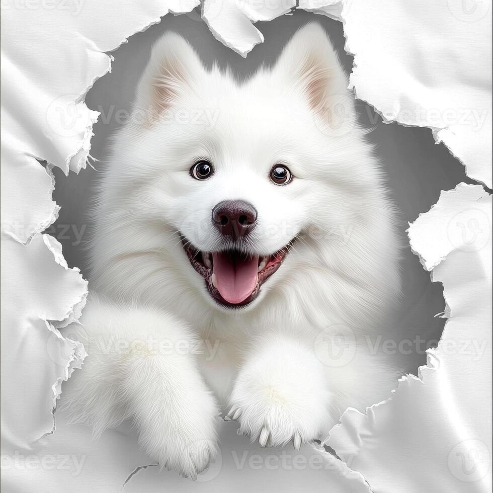 Adorable fluffy white dog bursting playfully through paper. photo