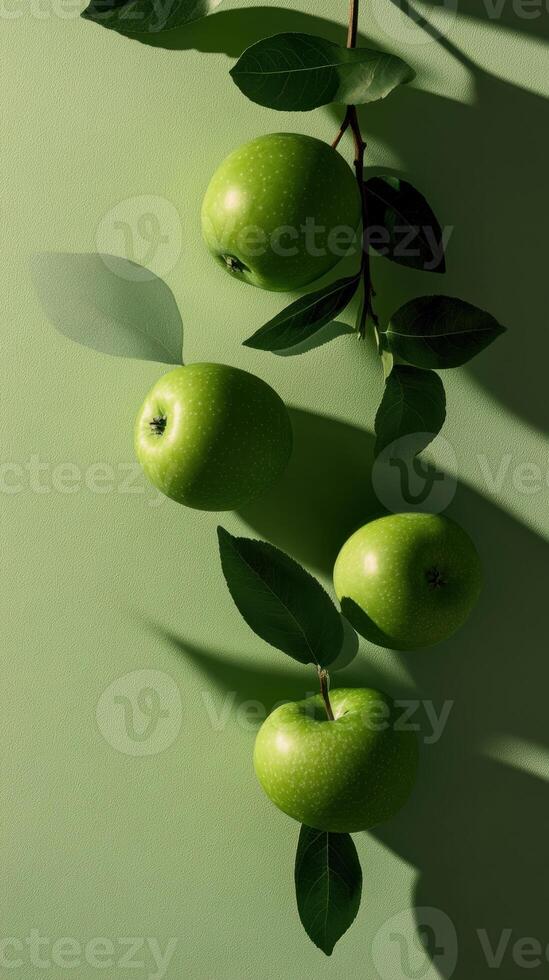 Fresh green apples hanging on a branch against a light green background, casting subtle shadows. photo