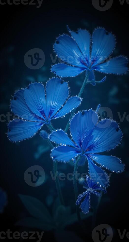 blue flowers on a dark background photo