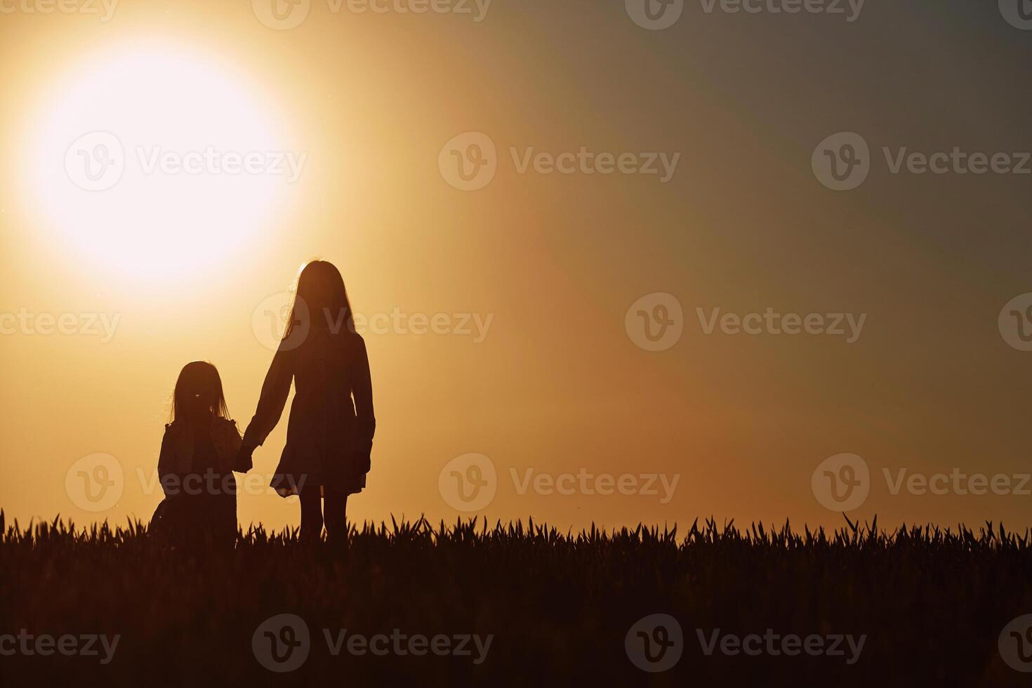 In beautiful sunlight. Majestic view. Two little girls have fun outdoors on the field at summer. photo