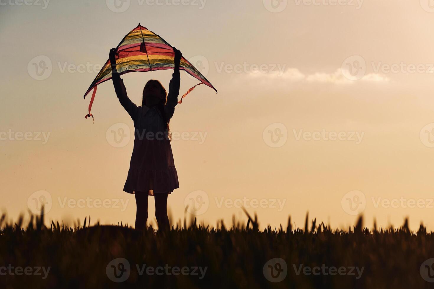 Beautiful sunlight and kite in hands of a child. Happy girl have a walk outdoors on the field at summer,. photo