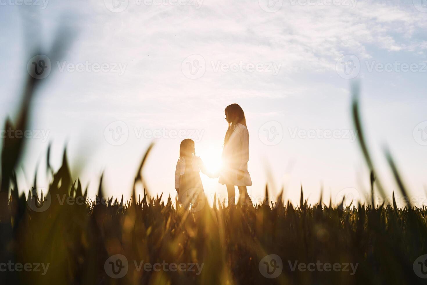 In beautiful sunlight. Majestic view. Two little girls have fun outdoors on the field at summer.. photo