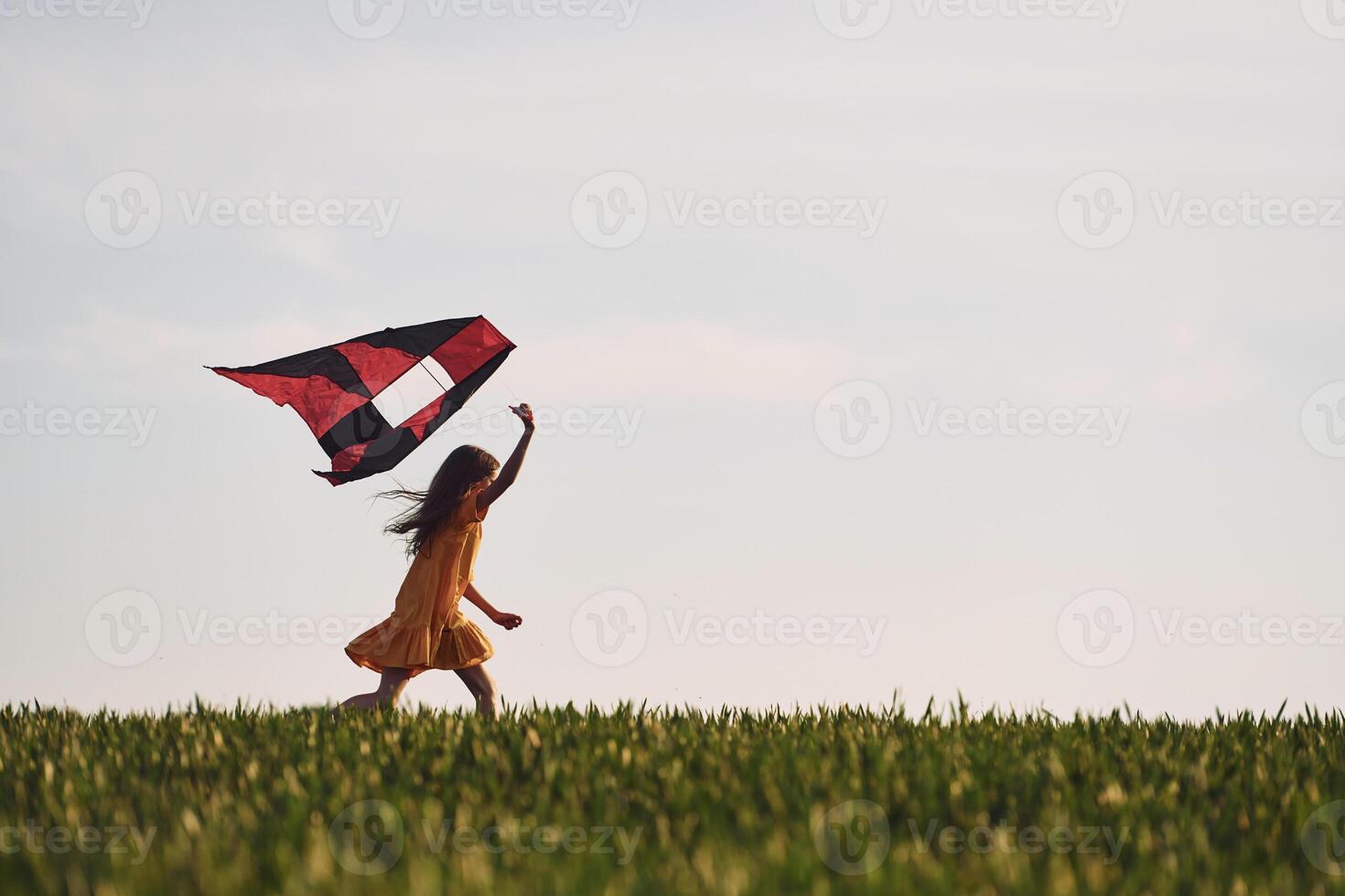 Running with kite. Happy girl have a walk outdoors on the field at summer. photo