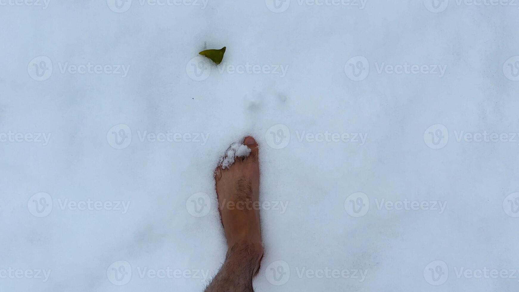 Top view of male bare feet stepping on white snow. Legs of man going on snowy trail. Young guy hardening at cold winter. Concept of healthy lifestyle. POV Slow motion photo