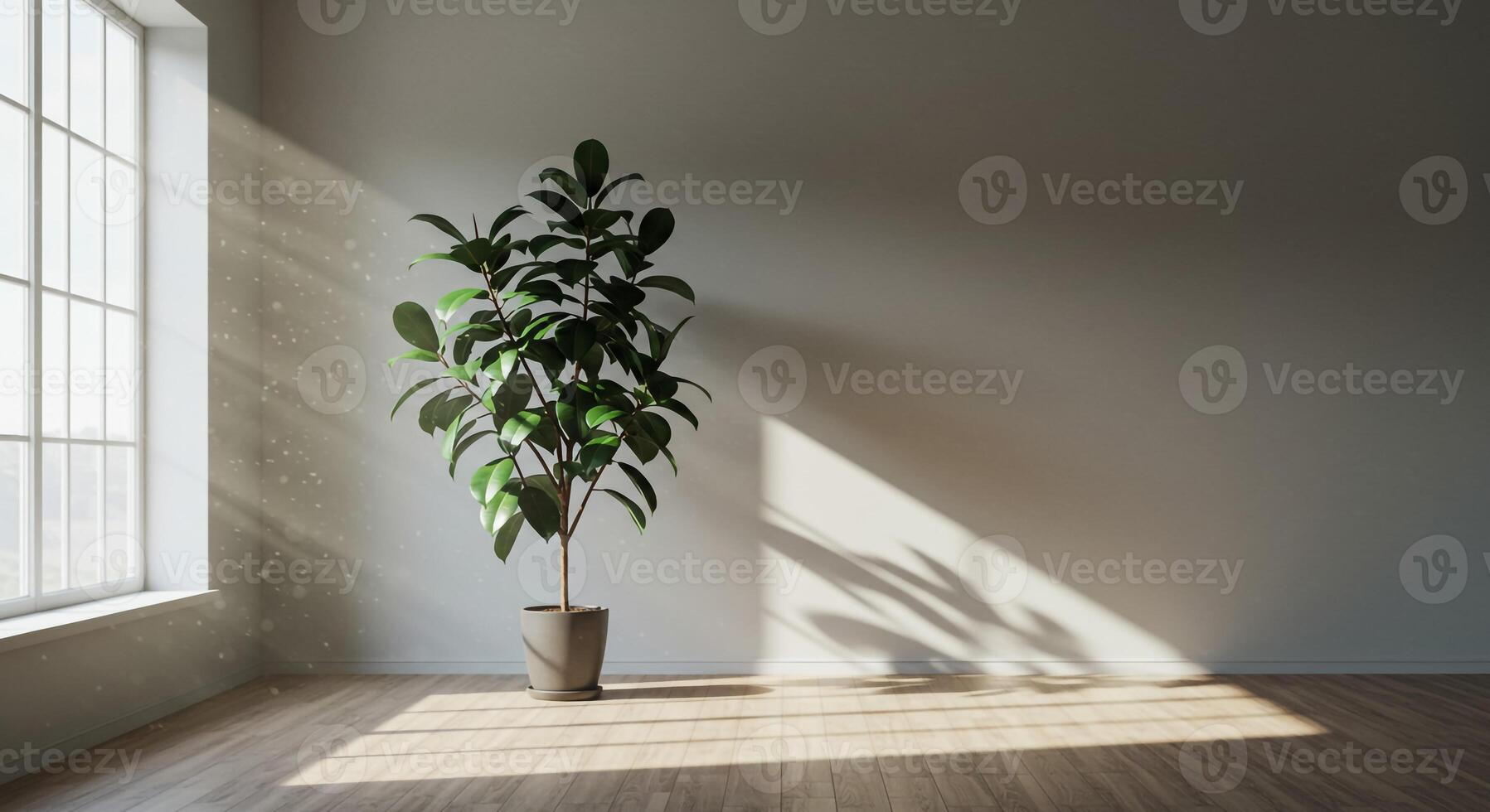 A potted plant in an empty room with sunlight streaming in photo