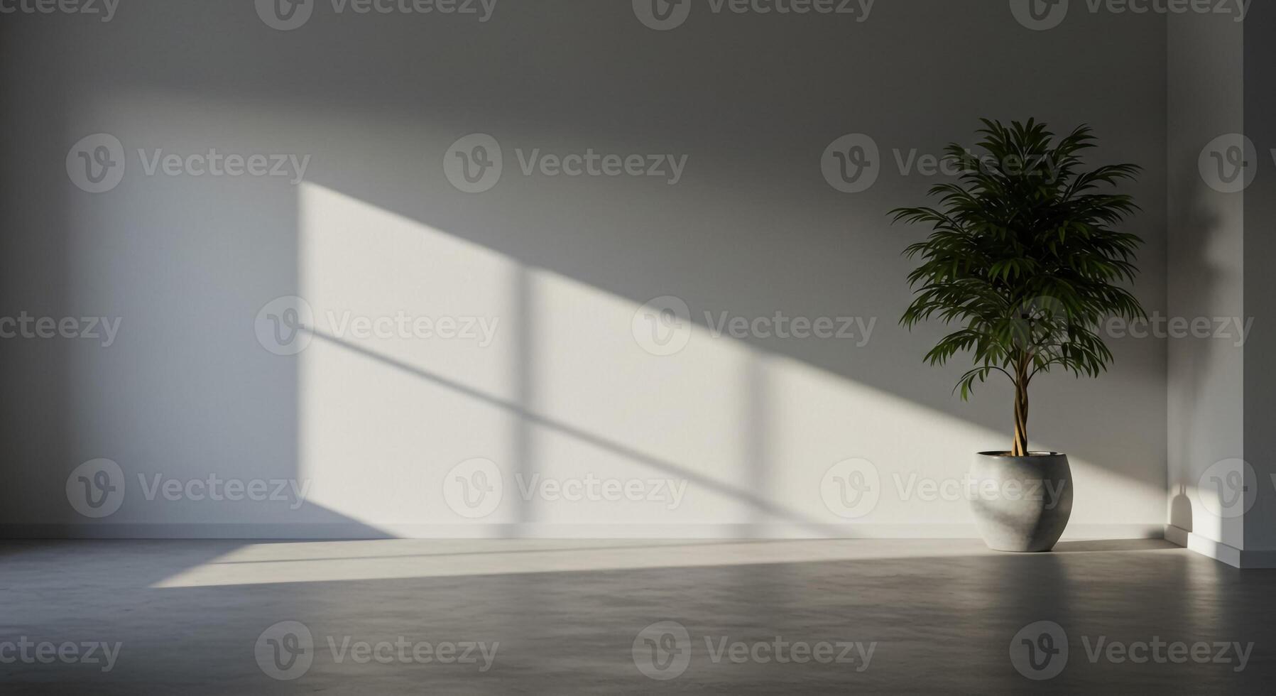 Empty room with a potted plant in front of a window photo